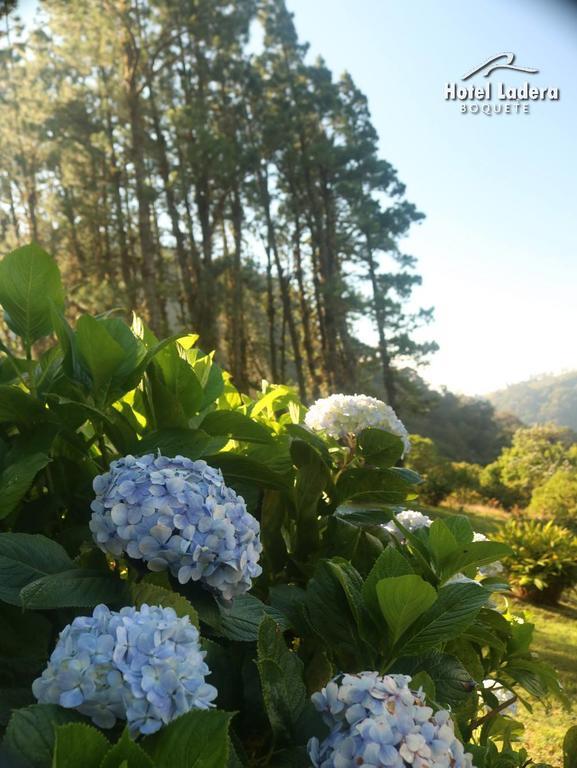 Hotel Ladera 보케테 외부 사진